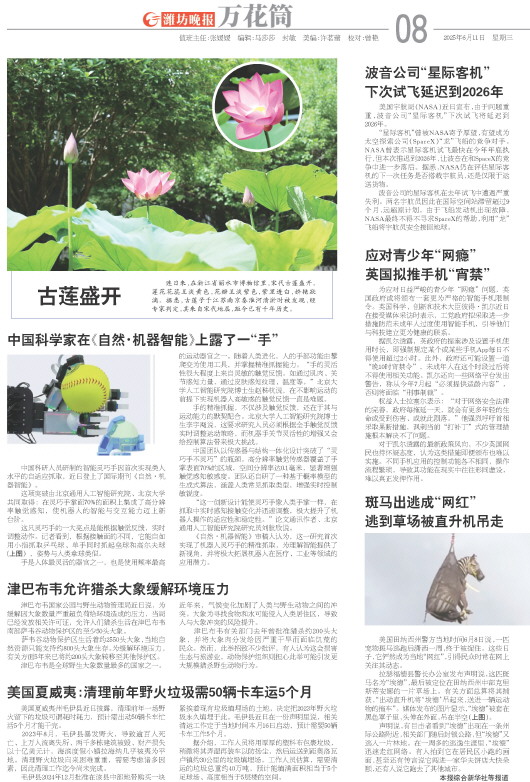 ****处理标记：[page]时， 字段 [] 在数据源中没有找到! ****