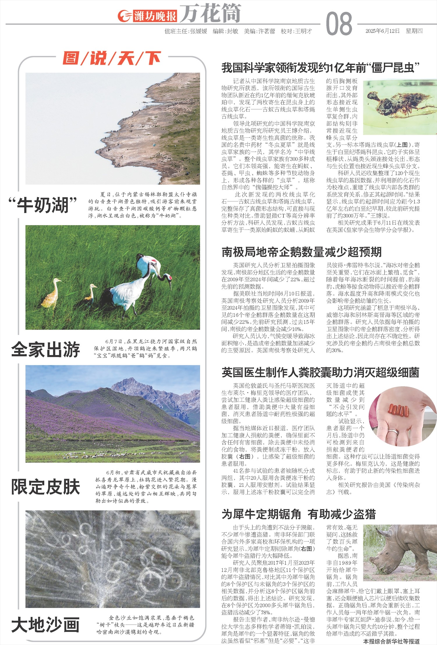 ****处理标记：[page]时， 字段 [] 在数据源中没有找到! ****