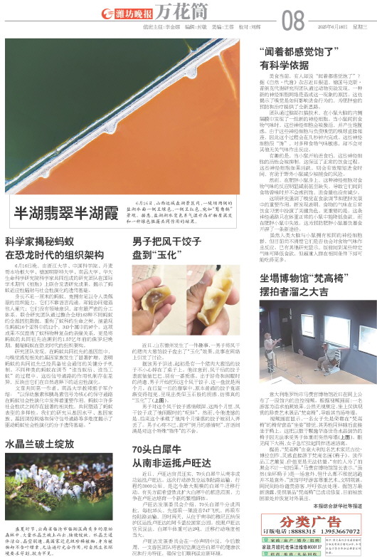 ****处理标记：[page]时， 字段 [] 在数据源中没有找到! ****