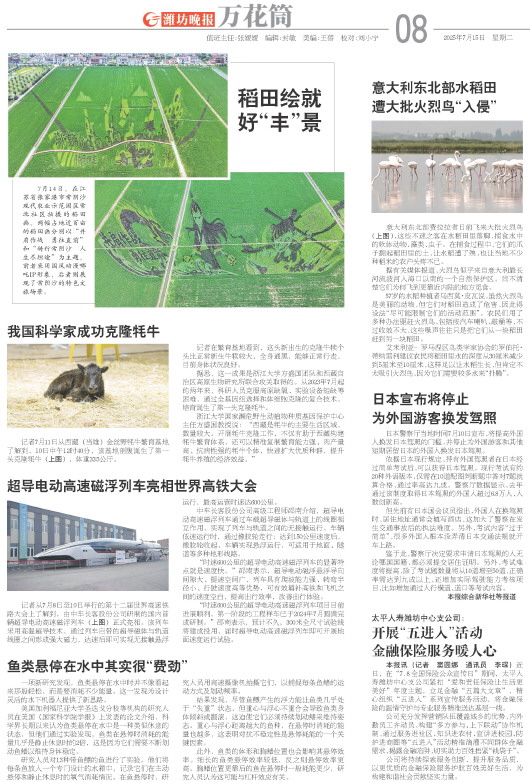 ****处理标记：[page]时， 字段 [] 在数据源中没有找到! ****