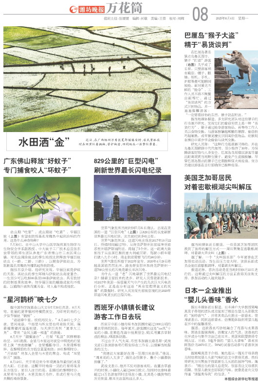 ****处理标记：[page]时， 字段 [] 在数据源中没有找到! ****