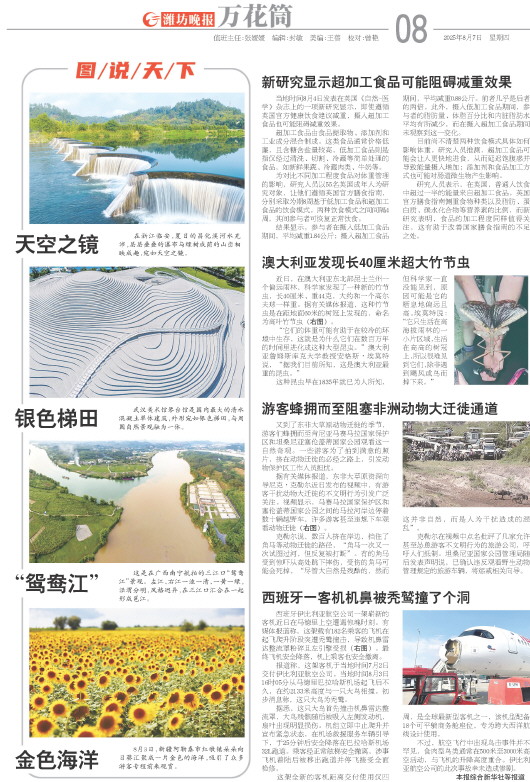 ****处理标记：[page]时， 字段 [] 在数据源中没有找到! ****