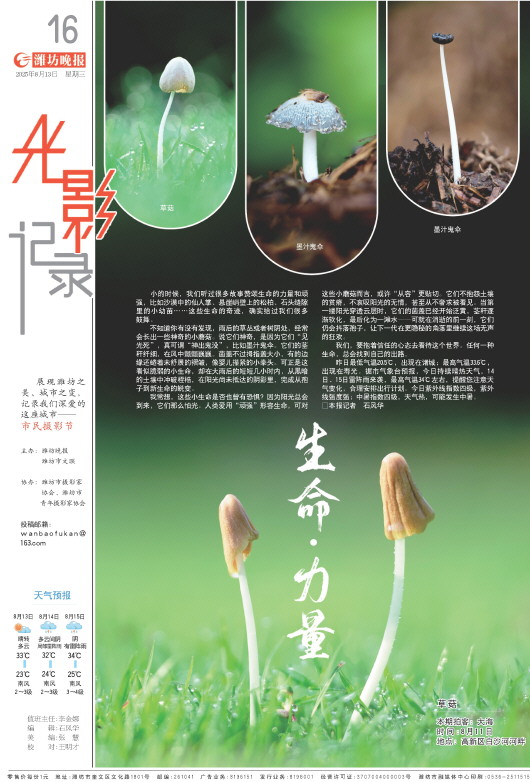 ****处理标记：[page]时， 字段 [] 在数据源中没有找到! ****