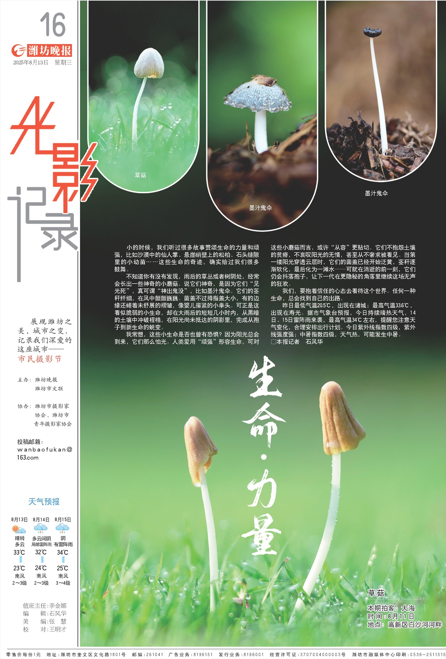 ****处理标记：[page]时， 字段 [] 在数据源中没有找到! ****