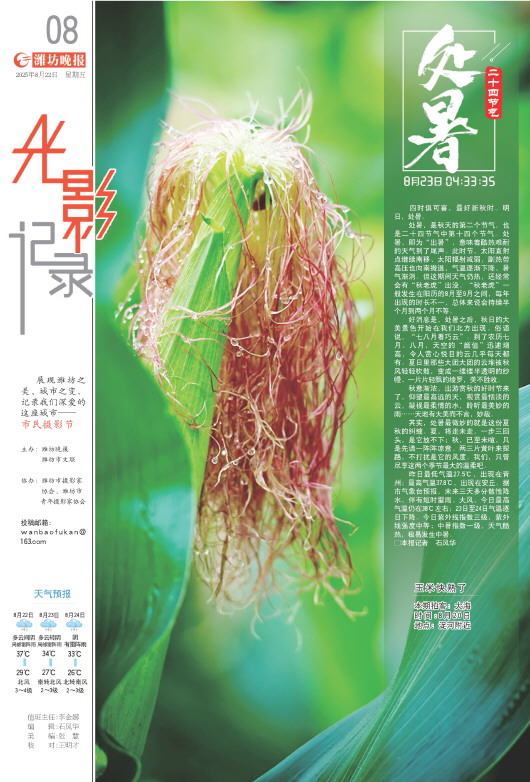 ****处理标记：[page]时， 字段 [] 在数据源中没有找到! ****