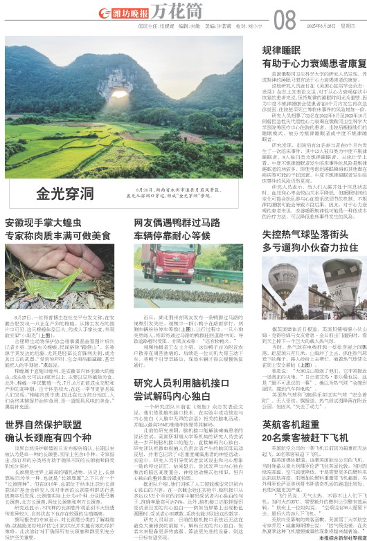 ****处理标记：[page]时， 字段 [] 在数据源中没有找到! ****