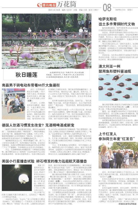 ****处理标记：[page]时， 字段 [] 在数据源中没有找到! ****
