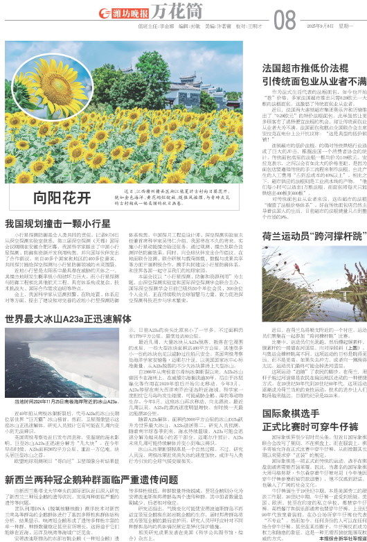 ****处理标记：[page]时， 字段 [] 在数据源中没有找到! ****
