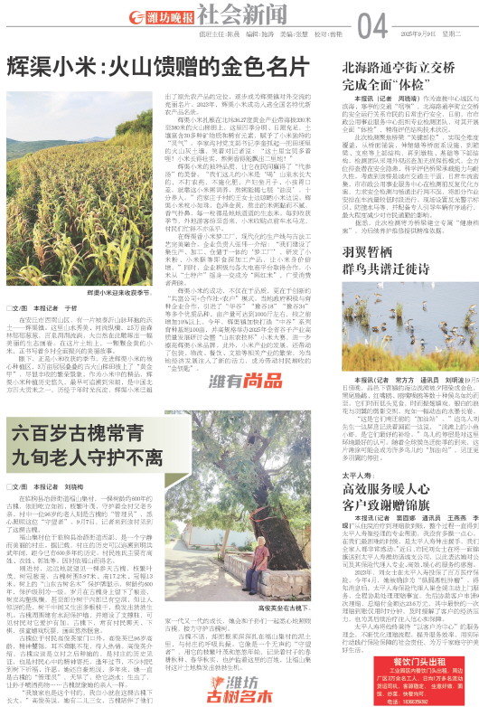 ****处理标记：[page]时， 字段 [] 在数据源中没有找到! ****