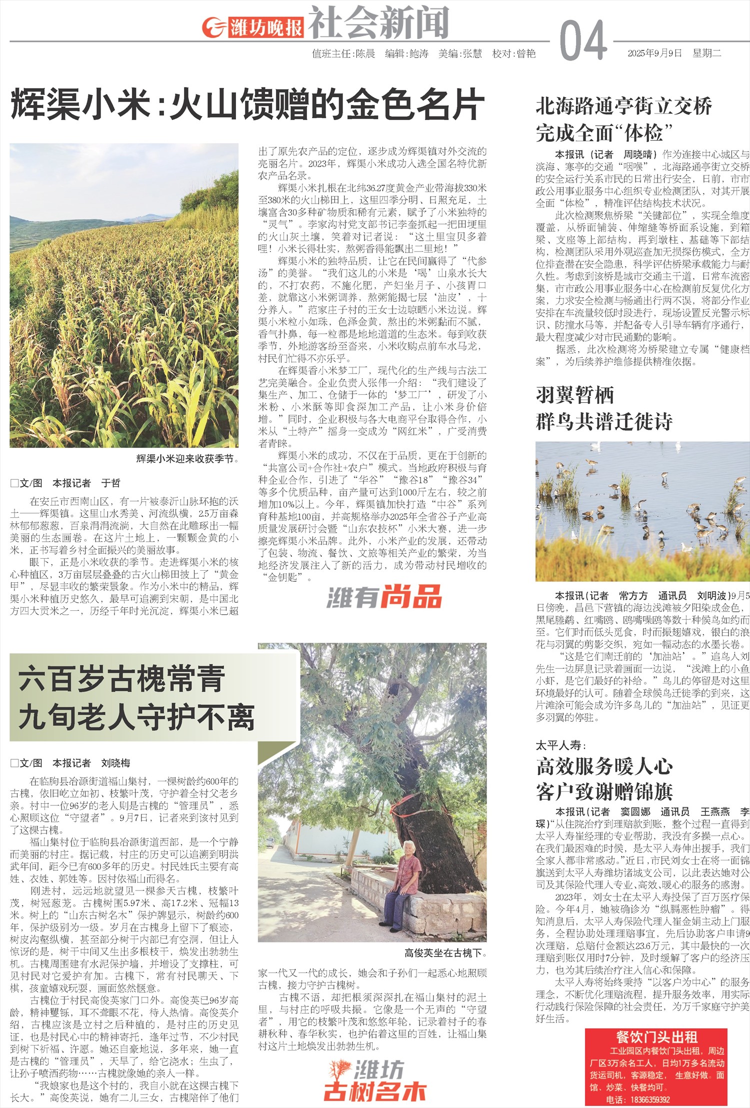 ****处理标记：[page]时， 字段 [] 在数据源中没有找到! ****