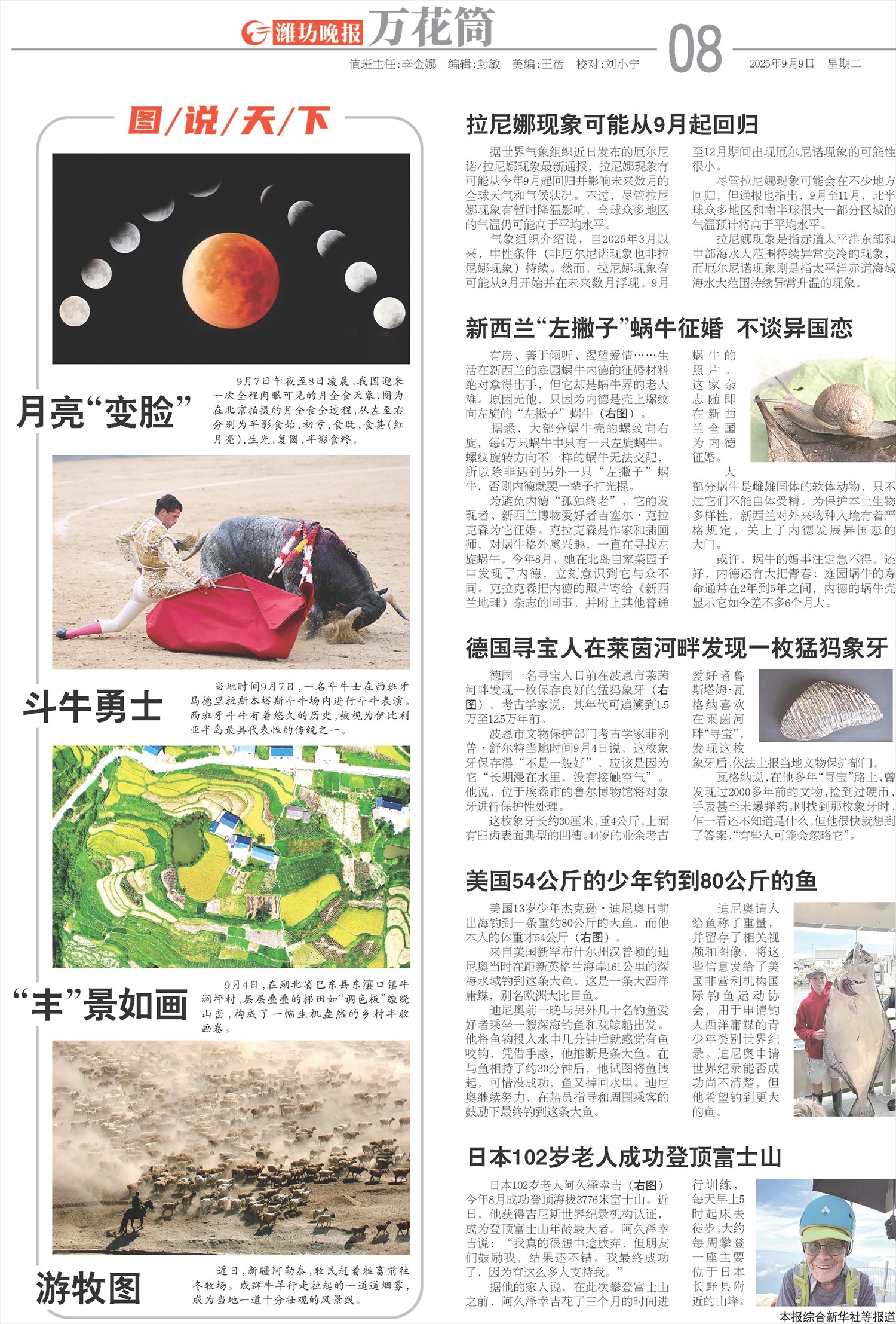 ****处理标记：[page]时， 字段 [] 在数据源中没有找到! ****