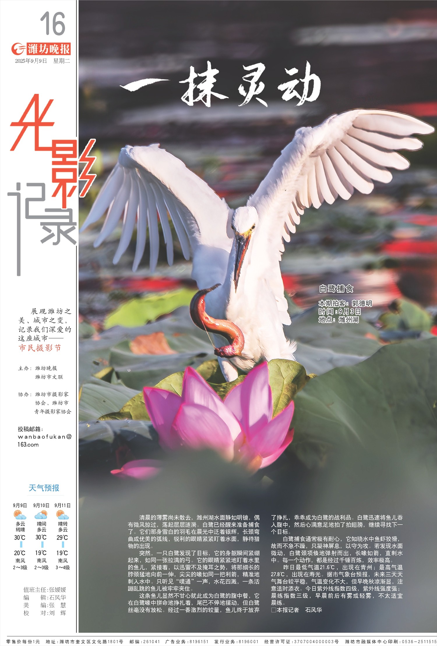 ****处理标记：[page]时， 字段 [] 在数据源中没有找到! ****