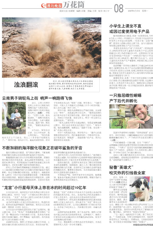 ****处理标记：[page]时， 字段 [] 在数据源中没有找到! ****