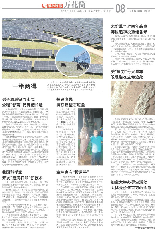****处理标记：[page]时， 字段 [] 在数据源中没有找到! ****