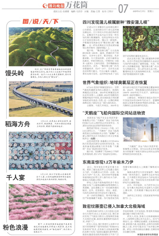 ****处理标记：[page]时， 字段 [] 在数据源中没有找到! ****