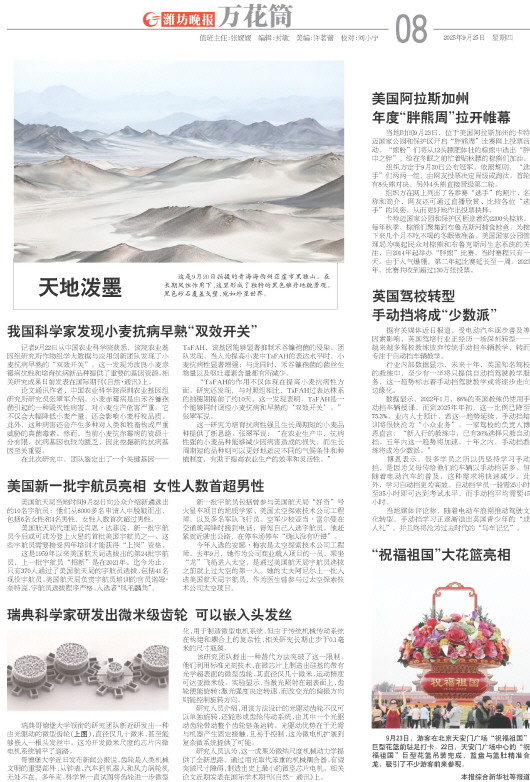 ****处理标记：[page]时， 字段 [] 在数据源中没有找到! ****