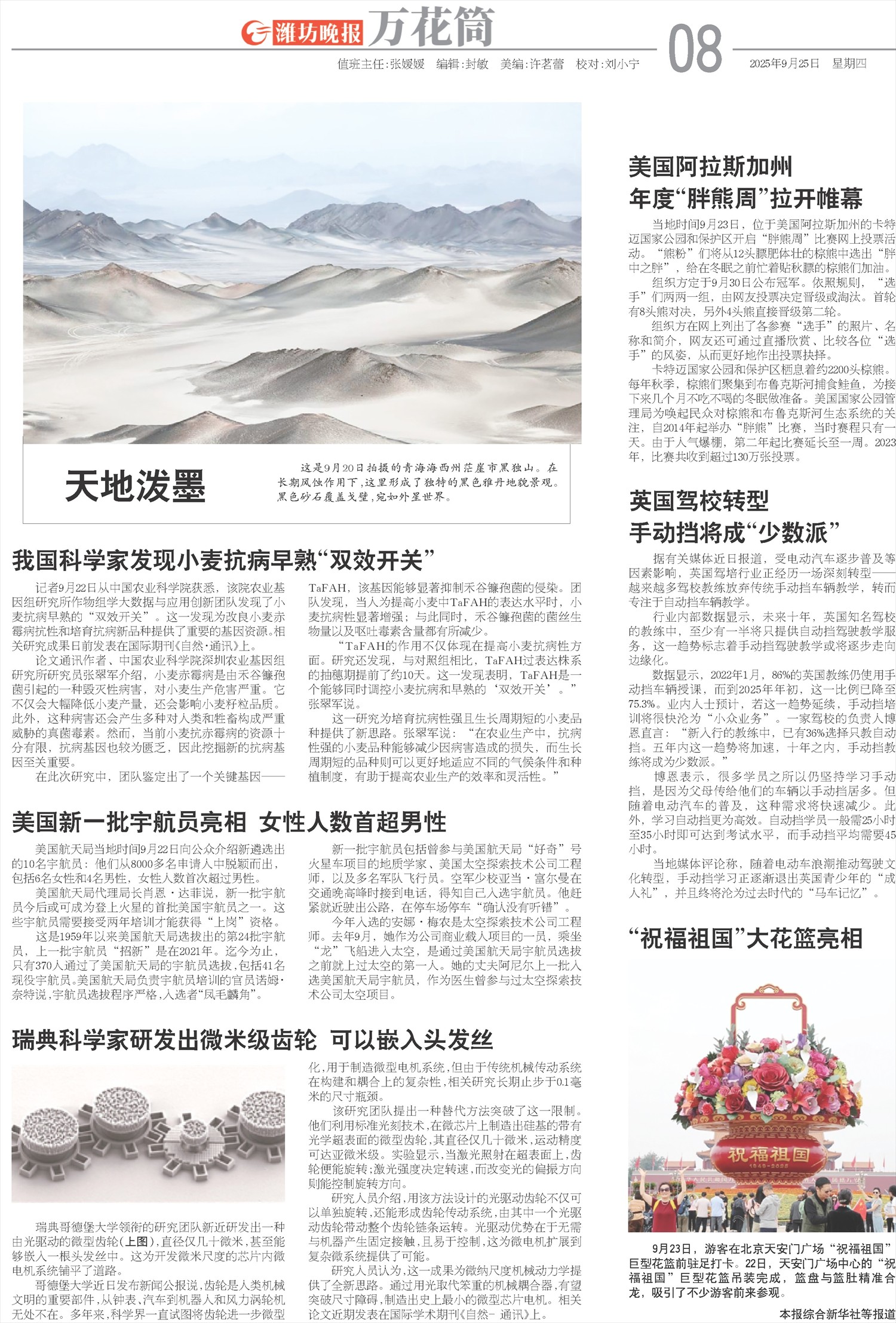 ****处理标记：[page]时， 字段 [] 在数据源中没有找到! ****