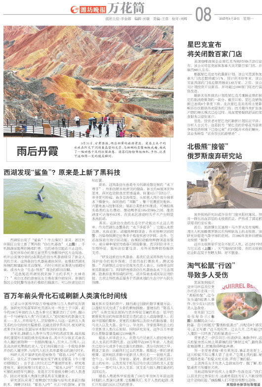 ****处理标记：[page]时， 字段 [] 在数据源中没有找到! ****