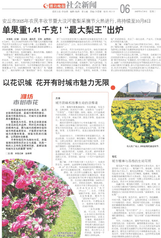 ****处理标记：[page]时， 字段 [] 在数据源中没有找到! ****