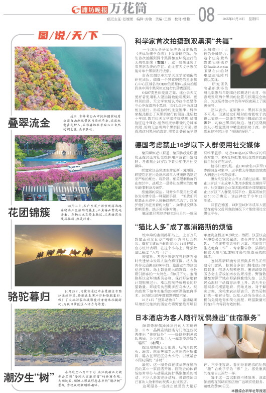 ****处理标记：[page]时， 字段 [] 在数据源中没有找到! ****