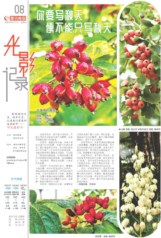 ****处理标记：[page]时， 字段 [] 在数据源中没有找到! ****