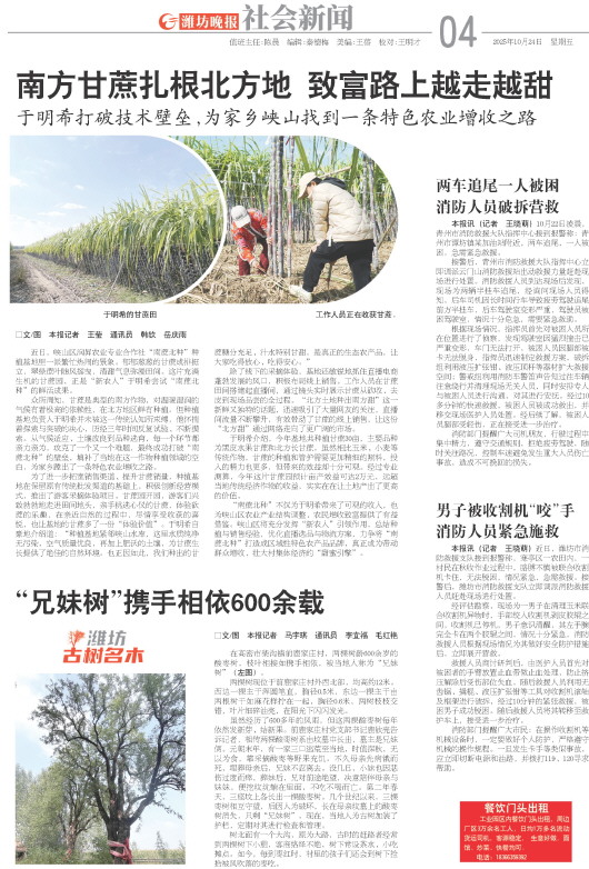 ****处理标记：[page]时， 字段 [] 在数据源中没有找到! ****