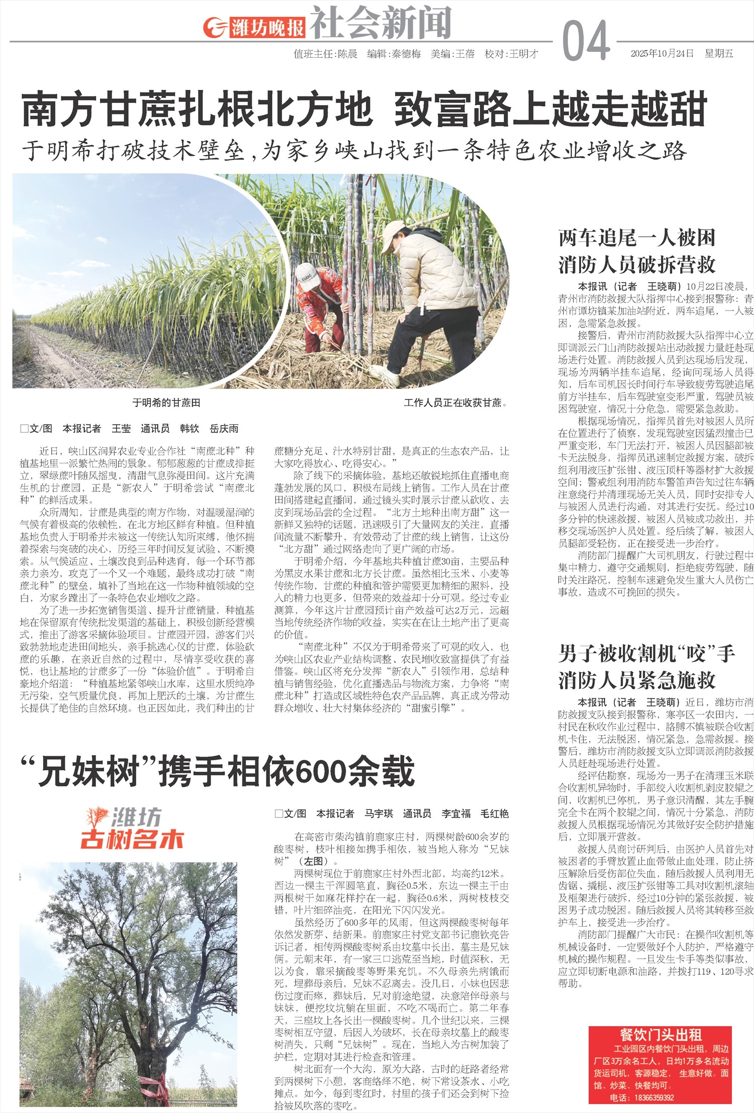 ****处理标记：[page]时， 字段 [] 在数据源中没有找到! ****