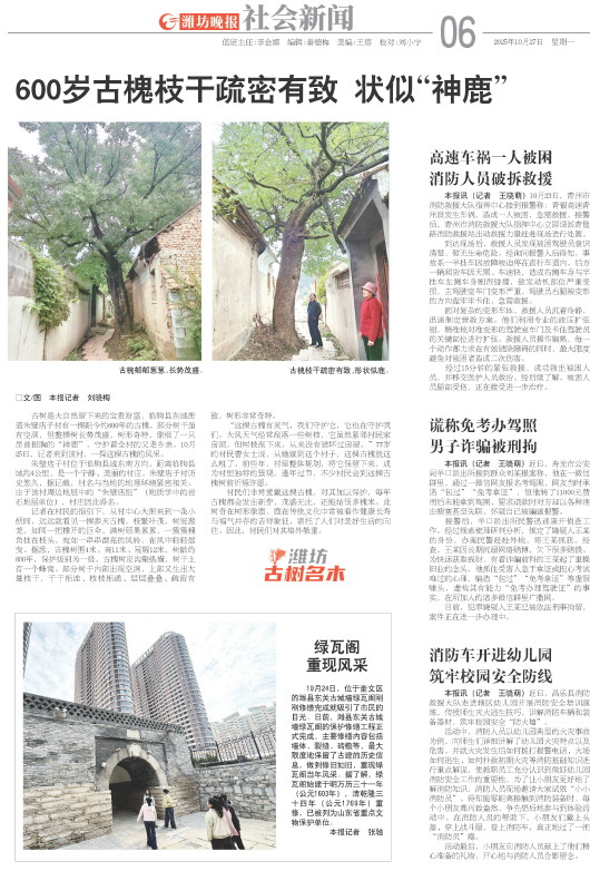 ****处理标记：[page]时， 字段 [] 在数据源中没有找到! ****