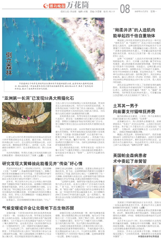 ****处理标记：[page]时， 字段 [] 在数据源中没有找到! ****