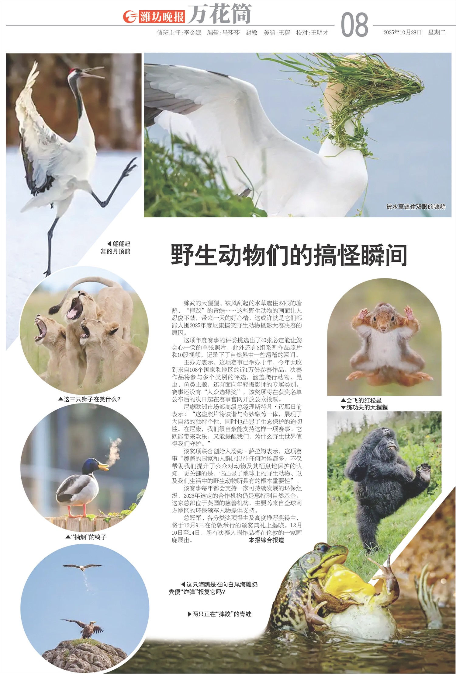 ****处理标记：[page]时， 字段 [] 在数据源中没有找到! ****