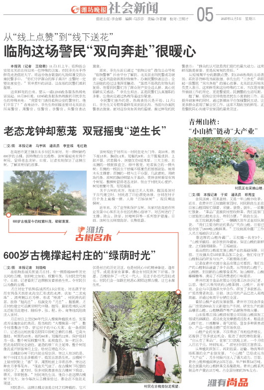 ****处理标记：[page]时， 字段 [] 在数据源中没有找到! ****