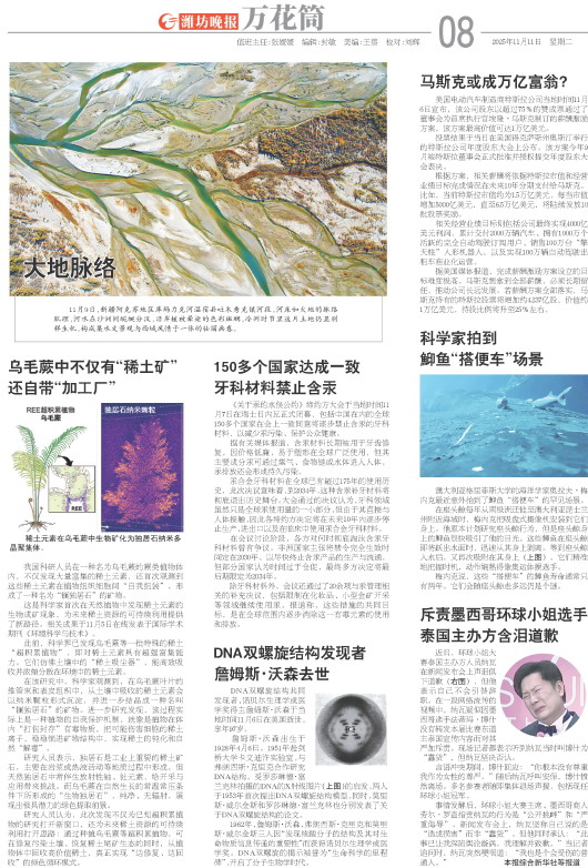 ****处理标记：[page]时， 字段 [] 在数据源中没有找到! ****