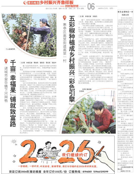 ****处理标记：[page]时， 字段 [] 在数据源中没有找到! ****