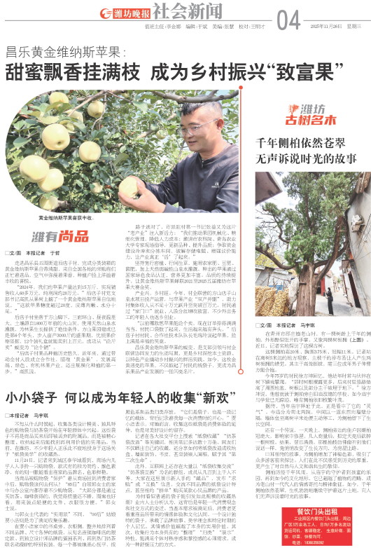 ****处理标记：[page]时， 字段 [] 在数据源中没有找到! ****