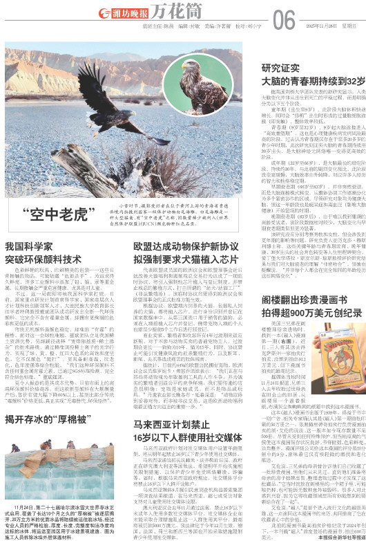 ****处理标记：[page]时， 字段 [] 在数据源中没有找到! ****