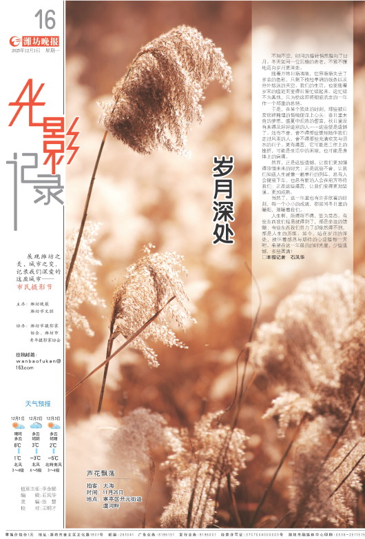 ****处理标记：[page]时， 字段 [] 在数据源中没有找到! ****