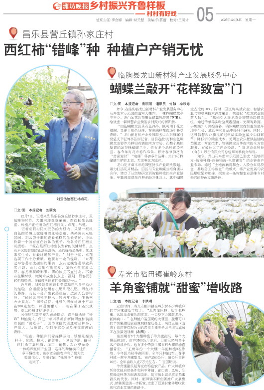 ****处理标记：[page]时， 字段 [] 在数据源中没有找到! ****