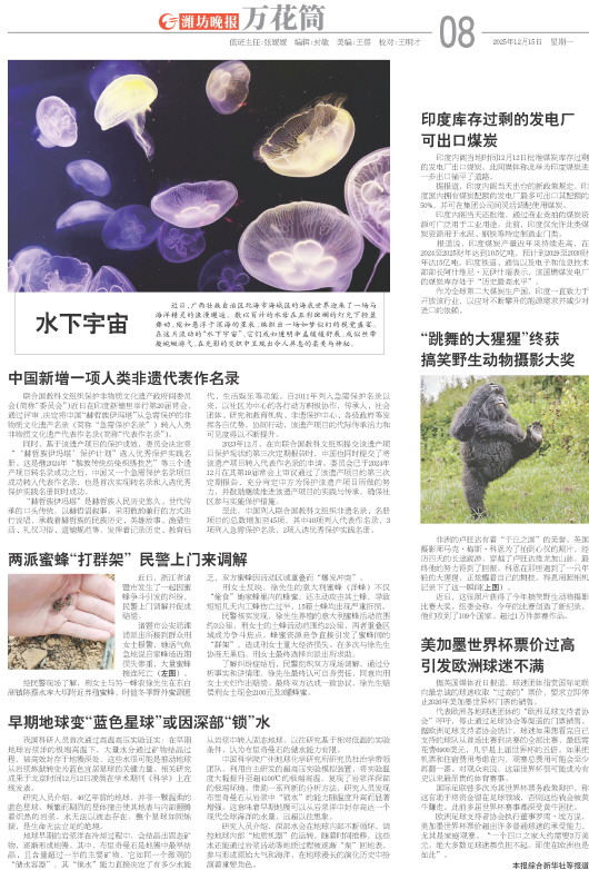 ****处理标记：[page]时， 字段 [] 在数据源中没有找到! ****