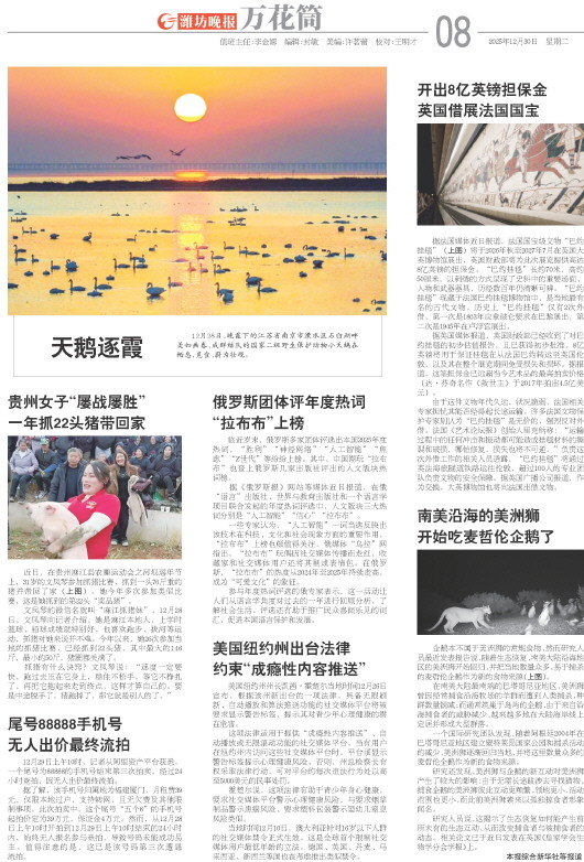 ****处理标记：[page]时， 字段 [] 在数据源中没有找到! ****