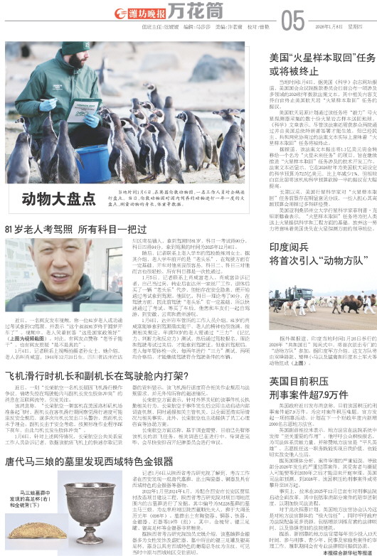 ****处理标记：[page]时， 字段 [] 在数据源中没有找到! ****