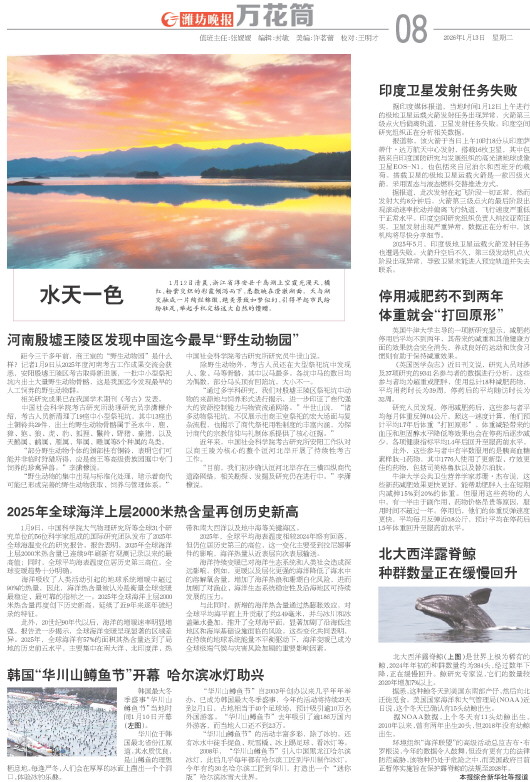 ****处理标记：[page]时， 字段 [] 在数据源中没有找到! ****