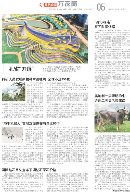 ****处理标记：[page]时， 字段 [] 在数据源中没有找到! ****