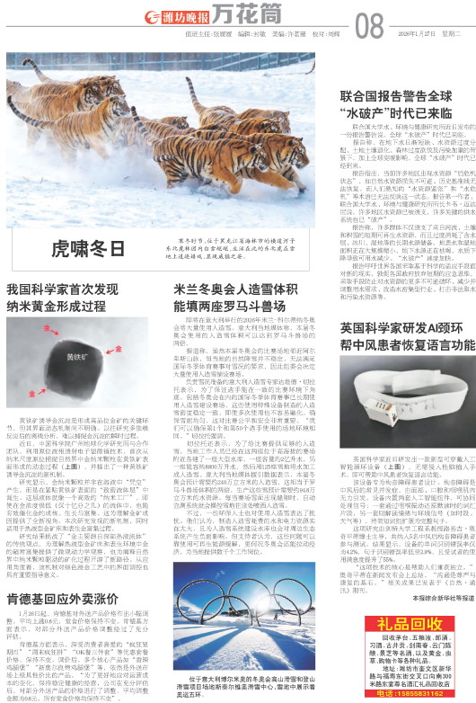 ****处理标记：[page]时， 字段 [] 在数据源中没有找到! ****