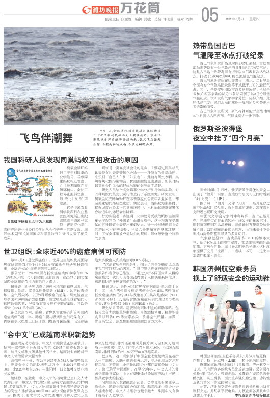 ****处理标记：[page]时， 字段 [] 在数据源中没有找到! ****