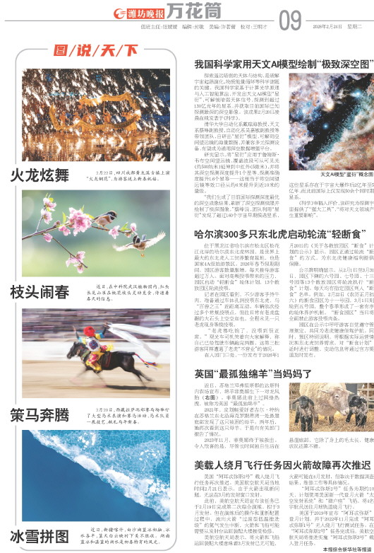 ****处理标记：[page]时， 字段 [] 在数据源中没有找到! ****