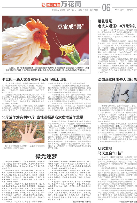 ****处理标记：[page]时， 字段 [] 在数据源中没有找到! ****