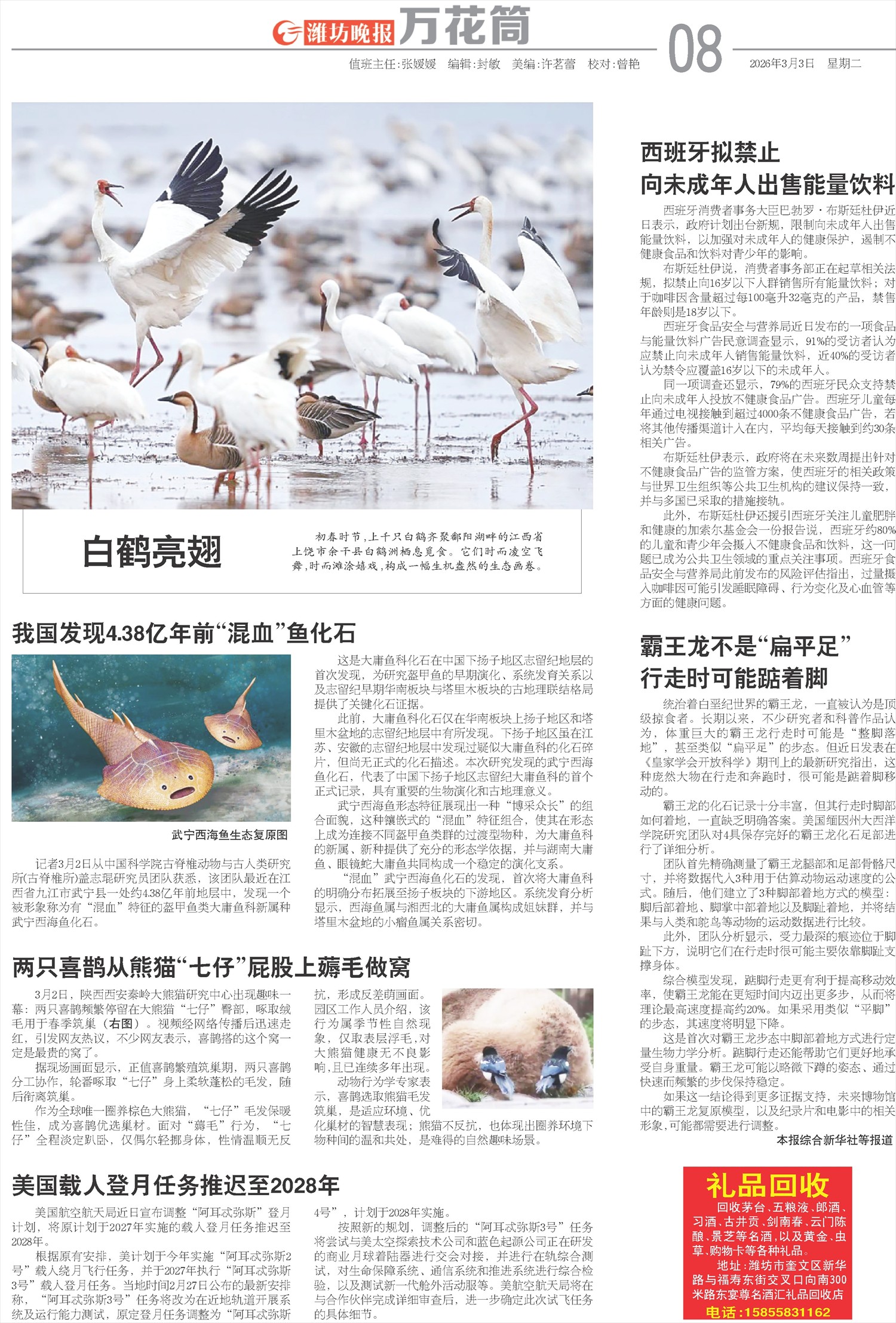 ****处理标记：[page]时， 字段 [] 在数据源中没有找到! ****