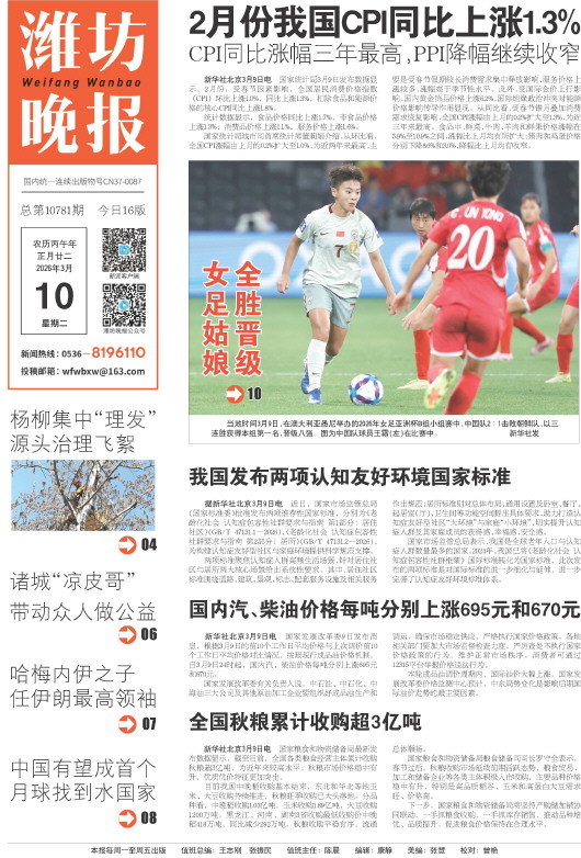 ****处理标记：[page]时， 字段 [] 在数据源中没有找到! ****