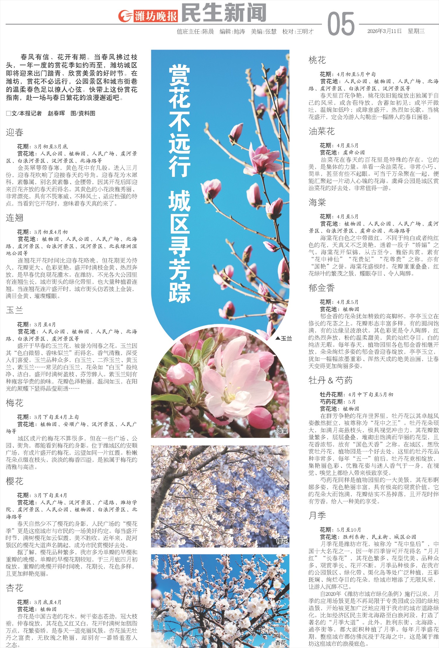 ****处理标记：[page]时， 字段 [] 在数据源中没有找到! ****