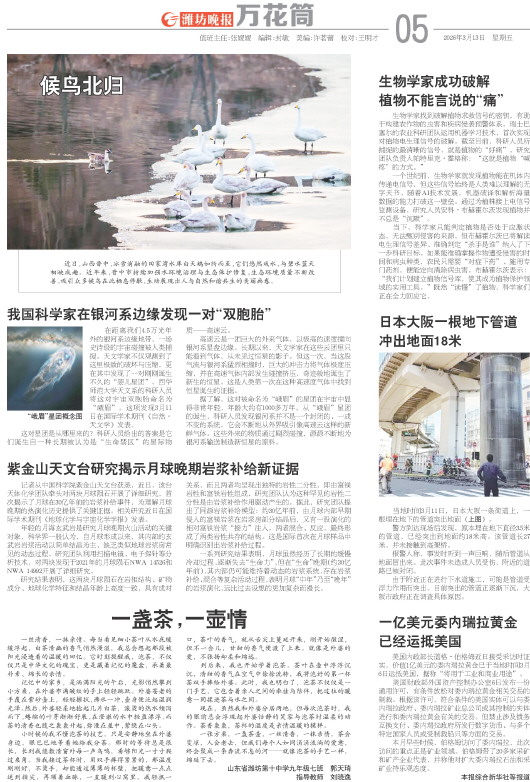 ****处理标记：[page]时， 字段 [] 在数据源中没有找到! ****